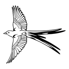 flying magpie outline vector
