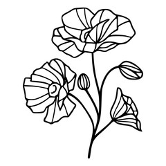 poppy flower line art drawing