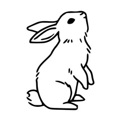 standing rabbit vector drawing