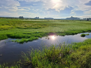 Obraz premium Open Field Landscape With Lush Green Grass
