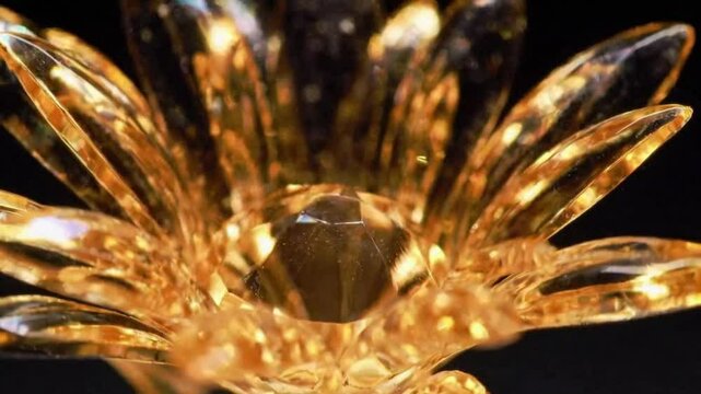 トパーズクリスタルデイジーが咲くマクロ映像
