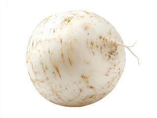 Round, white radish with brown spots.  A single, whole radish, oval in shape, is presented against a plain white background. The radish is mostly white, with noticeable, 