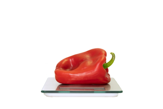 food control in the food industry