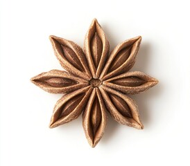 Star-shaped spice, light brown,  distinctly textured,  with many pointed petals,  isolated on white background