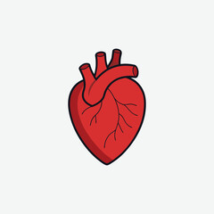 Obraz premium Discover a high-quality human heart icon in vector format. Flat design with a clean white background, perfect for medical, health, and anatomy projects.