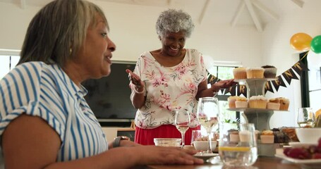 Group of happy senior multiracial, white and black male and female friends making a toast at retirem
