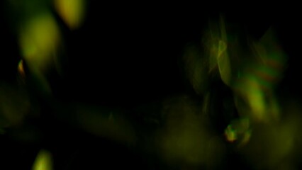 Abstract Green and Black Blurred Lights and Shapes