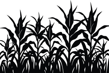 Hand-Drawn Corn Field Vector &ndash; Organic Farming and Countryside Illustration