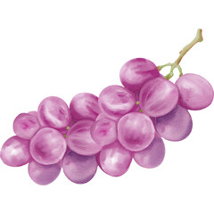 Watercolor Illustration of Purple Grapes
