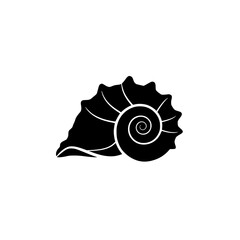 Obraz premium Seashell Icon