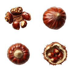 Chestnuts isolated on transparent background cutout