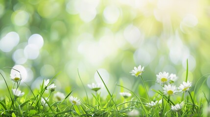 Flag Day Natural Background: Red Flags Merge with Wilderness, Spreading an Ecological Scroll Co - painted by Mountains, Rivers, Plants and Flag Passion