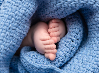 baby's feet wrapped in blue knitted blanket close up