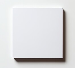 Blank white canvas (1)