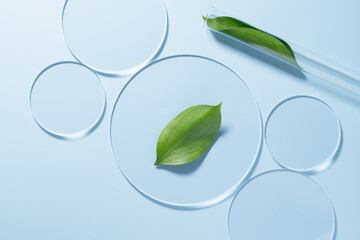 Lab researching and developing cosmetics with glass petri dishes and test tubes with green leaves...