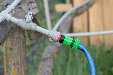 Plumbing system in agriculture.Plastic yard water pipes for garden watering.