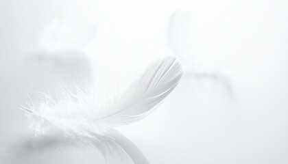 Obraz premium Delicate white feathers gently resting on a soft, reflective surface, creating a serene and minimalist aesthetic