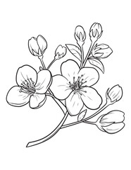 Elegant Cherry Blossom Branch with Blooming Petals – Spring Line Art Coloring Page