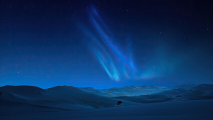 Naklejka premium Beautiful northern lights display illuminating a desert landscape under a starry night sky