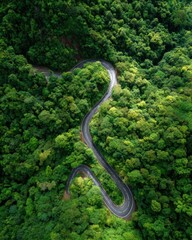 Aerial view of winding road through lush green forest canopy scenic route adventure travel destination nature photography
