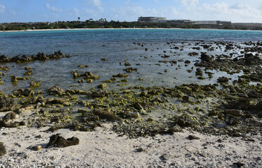 Baby Beach in Aruba Cove with Scenic Views