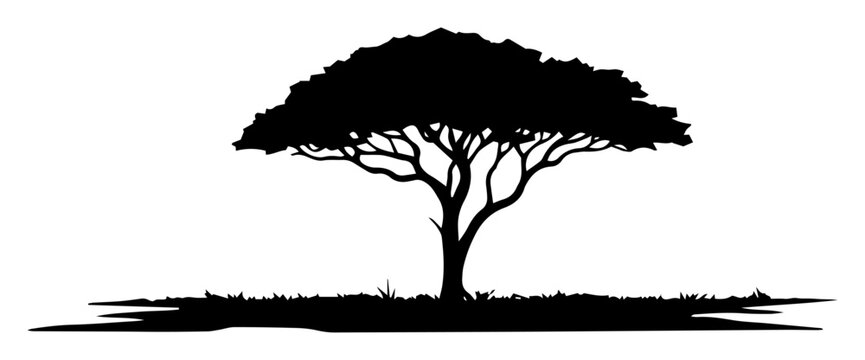 acacia tree with wide crown on savanna silhouette vector shape
