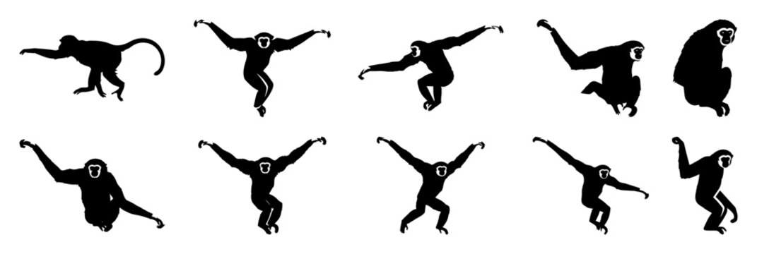 monkey silhouette collection in various poses vector illustration