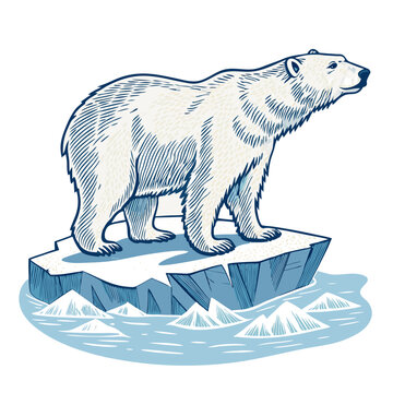 Create a vector illustration of a bold, stylized arctic polar bear with thick, black strokes.  Emphasis on strong outlines and simple shapes.