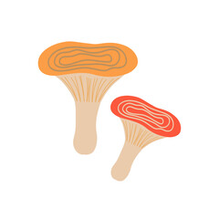 Milky cap vector illustration in hand draw style, cartoon design, nature fungi clipart, woodland mushrooms, cute mushroom drawing, fungi art for crafts and decoration.