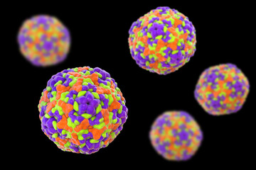 Enteroviruses, 3D illustration showing spherical, non-enveloped RNA viruses responsible for diseases like meningitis, myocarditis, hand-foot-mouth disease.