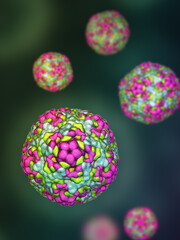 Enteroviruses, 3D illustration showing spherical, non-enveloped RNA viruses responsible for diseases like meningitis, myocarditis, hand-foot-mouth disease.