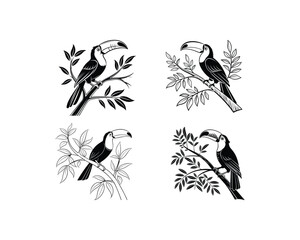 Fototapeta premium toucan silhouette vector on white background