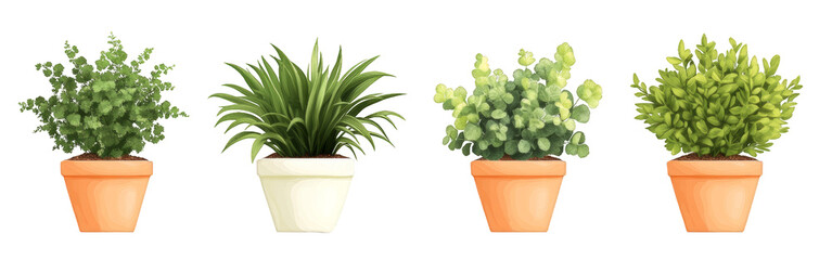 A row of potted plants with different sizes and colors