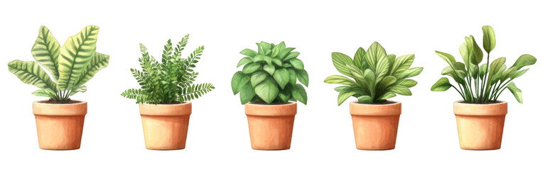 A row of potted plants with different sizes and colors