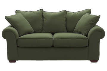 Olive green sofa with plush cushions