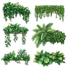 Collection of hanging plants and foliage in planters illustration style on white background for decoration