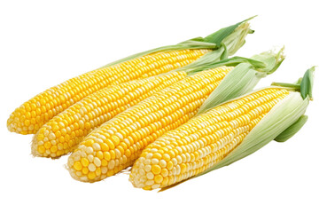 Four ears of corn on black