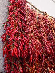 Naklejka premium Red Peppers in a Market Drying in the Sun