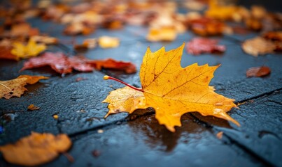 Autumn Leaves on a Calm Day, Generative AI