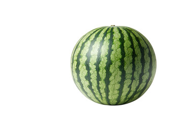A single round watermelon