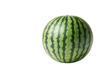 A single round watermelon