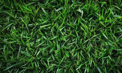 Obraz premium Natural Digital Background for Presentations, Generative AI