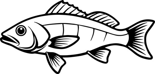 bass fish outline vector illustration line art