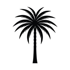 silhouette of palm tree