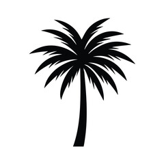 silhouette of palm tree