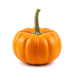 Fototapeta premium pumpkin isolated on white background