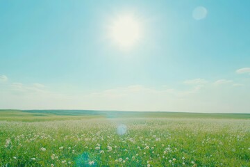 A vast field of wildflowers under a vibrant blue sky