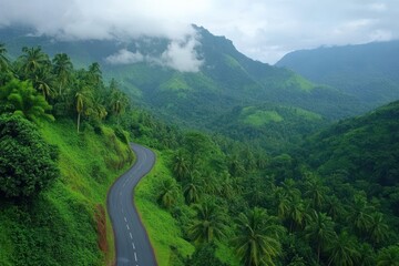 Winding road through lush tropical landscape