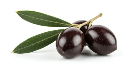 A fresh branch with three ripe black olives and vibrant green leaves, perfectly isolated on a white background