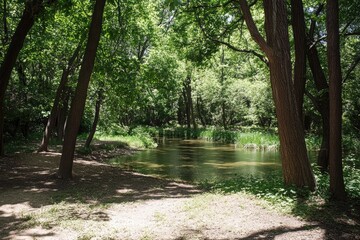 Tranquil woodland stream